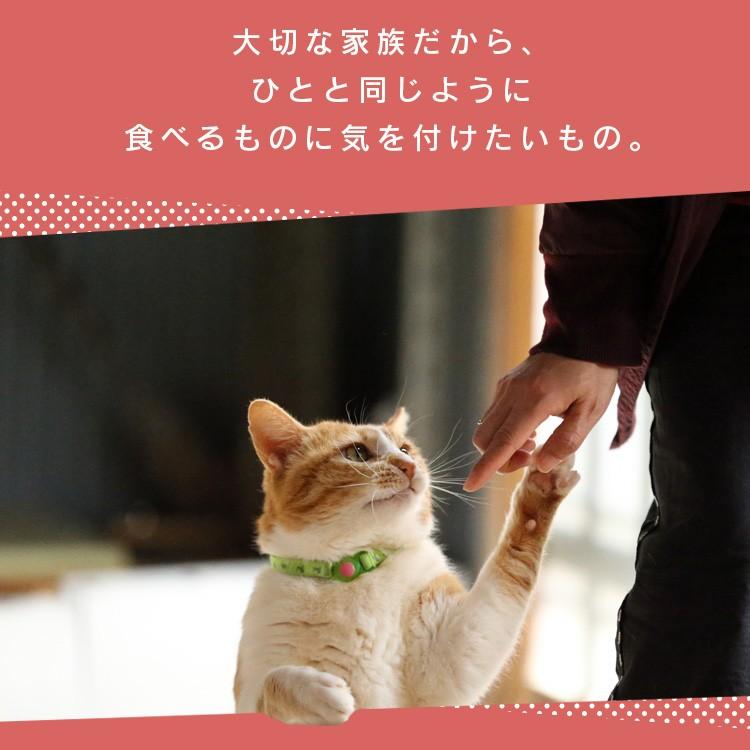 猫 おやつ ピューレ 無添加 国産 ねこ用ナピューレ まぐろ4本 P Nnm4 アイリスオーヤマ にゃんこの生活 通販 Yahoo ショッピング