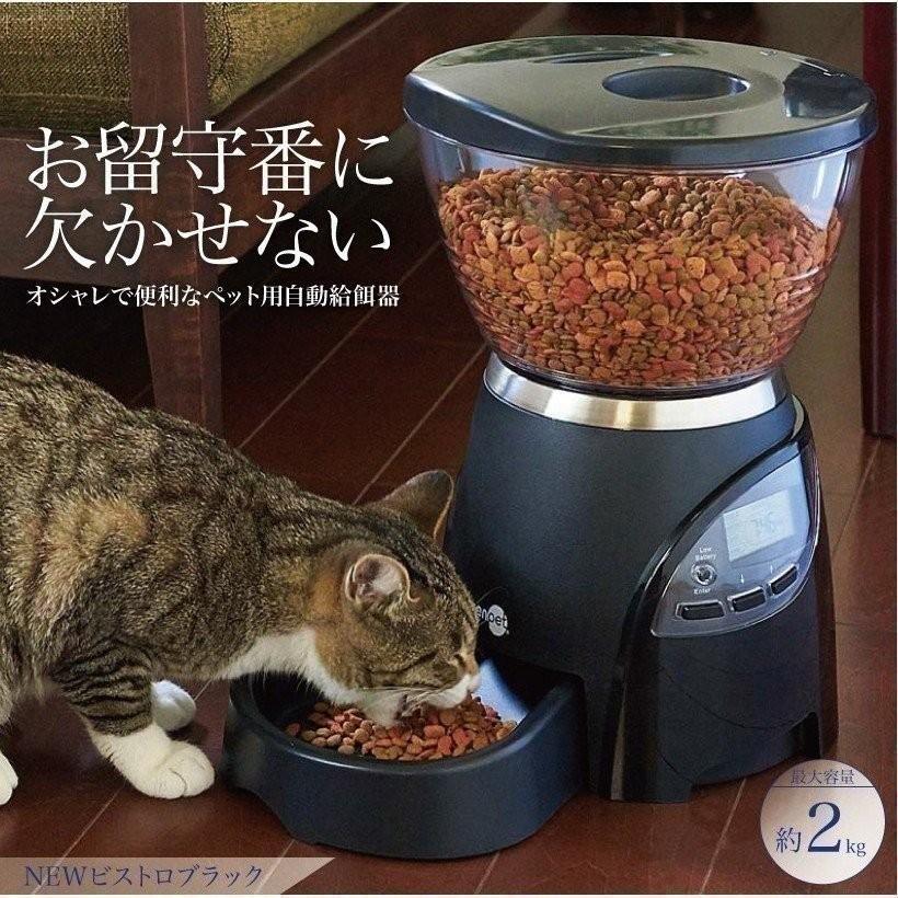 レガシー アレンジ 寓話 餌 自動 猫 Webingworks Net