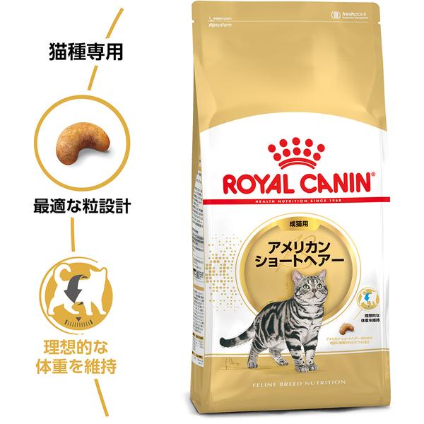 ロイヤルカナン 猫 アメリカンショートヘアー 成猫用 400g×2個セット 正規品｜nyanko｜02