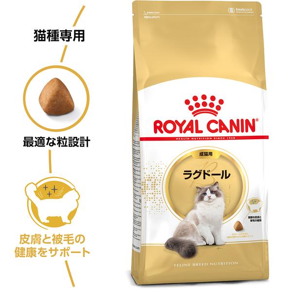 ロイヤルカナン 猫 ラグドール 成猫用 2kg×2個セット 正規品｜nyanko｜02