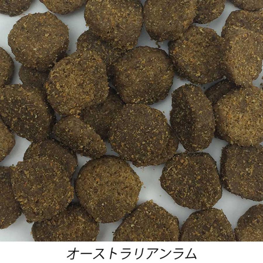 ファーストメイトドッグ オーストラリアンラム 6.6kg   ボンビアルコン  (B)の画像