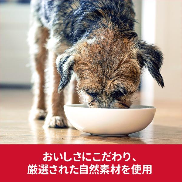 ヒルズ サイエンスダイエット 12kg ドッグフード ドライ 小型犬 成犬
