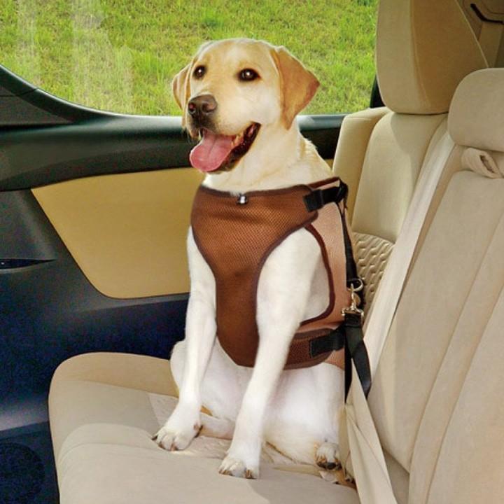 ドライブベストハーネス M ブラウン リッチェル D ペット ドライブ シートベルト 犬用 にゃんこの生活 通販 Yahoo ショッピング