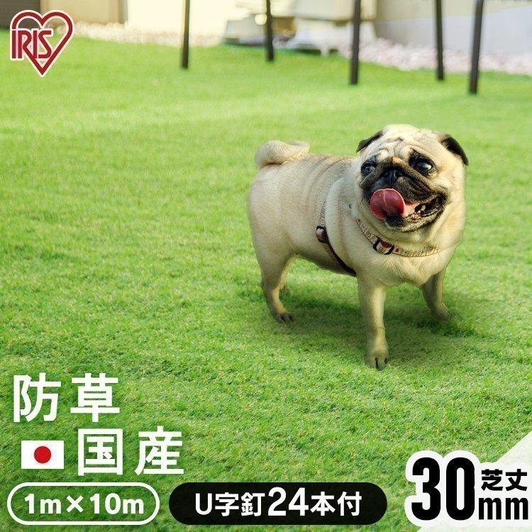 人工芝 ロール 1m 庭 DIY ゴルフ 防草 芝生 国産 リアル人工芝 防草人工芝 芝丈30mm 庭 ベランダ ペット 人工芝生 RP-30110 1m×10m アイリスオーヤマ :7158410:にゃんこの生活 - 通販 - Yahoo!ショッピング 人工芝 ロール 1m 庭 DIY ゴルフ 防草 芝生 国産 リアル人工芝 防草人工芝 芝丈30mm 庭 ベランダ ペット 人工芝生 RP-30110 1m×10m アイリスオーヤマ :7158410:にゃんこの生活 - 通販 - Yahoo!ショッピング