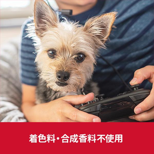 ヒルズ 2個セット 犬 フード サイエンスダイエット シニア
