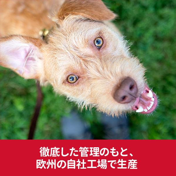ヒルズ 2個セット 犬 フード サイエンスダイエット シニア