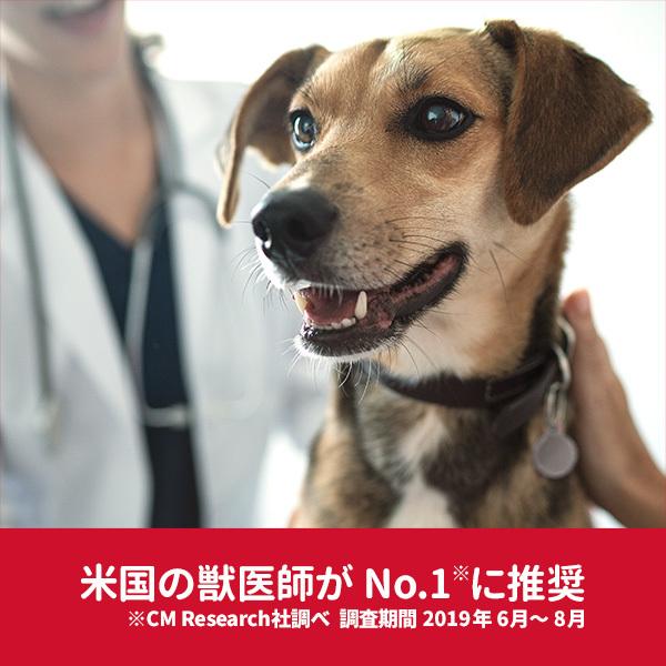 ヒルズ 2個セット 犬 フード サイエンスダイエット シニア