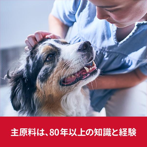 ヒルズ 2個セット 犬 フード サイエンスダイエット シニア