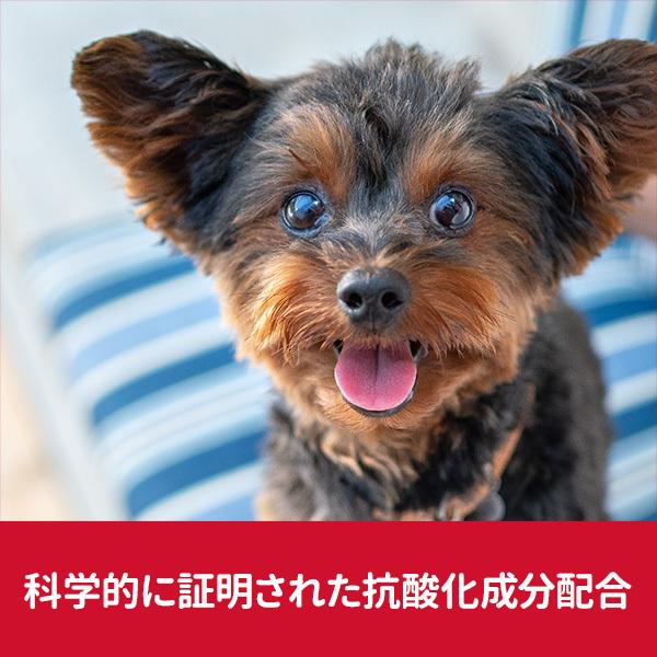ヒルズ 2個セット 犬 フード サイエンスダイエット シニア