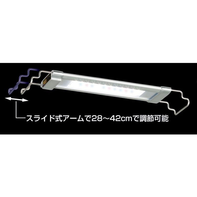 テトラ パワーLEDプレミアム 30 (D)(B) : キャットランド Yahoo!店 