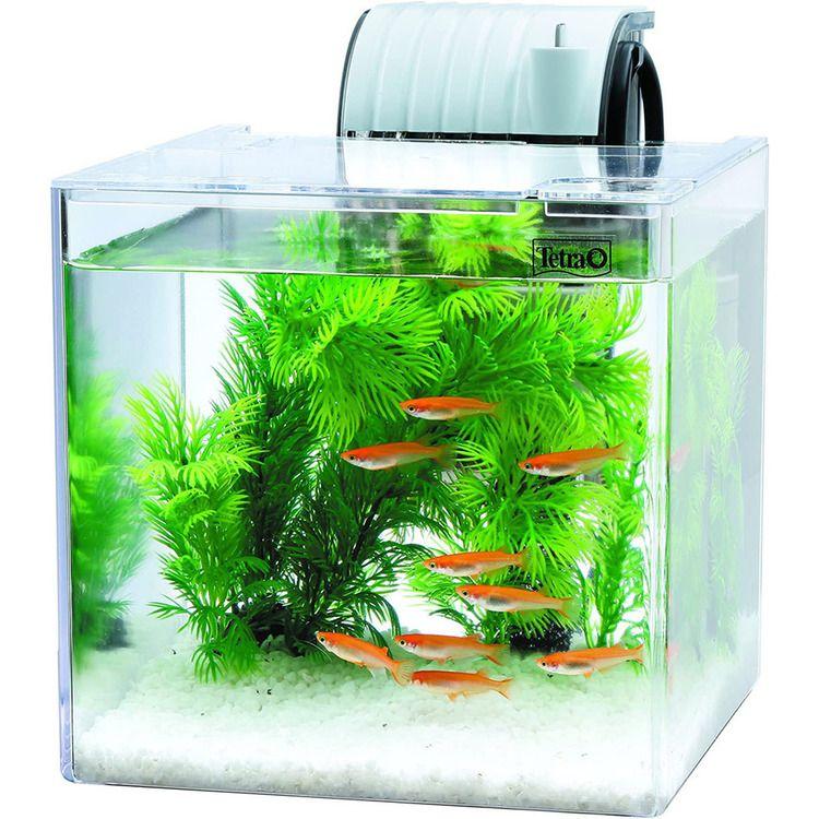 テトラ メダカ飼育セット SF-17KF (D)(B) : キャットランド