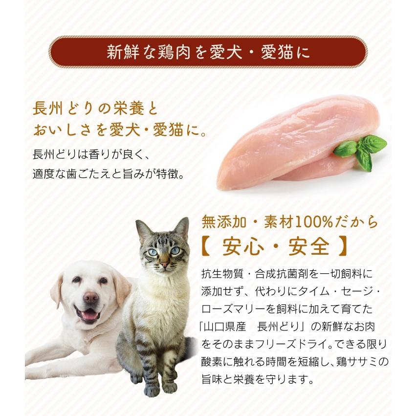 ささみフリーズドライ 猫 3本 約45g Whitefox おやつ キャットフード ペットフード 鶏肉 猫用 国産 にゃんこの生活 通販 Yahoo ショッピング
