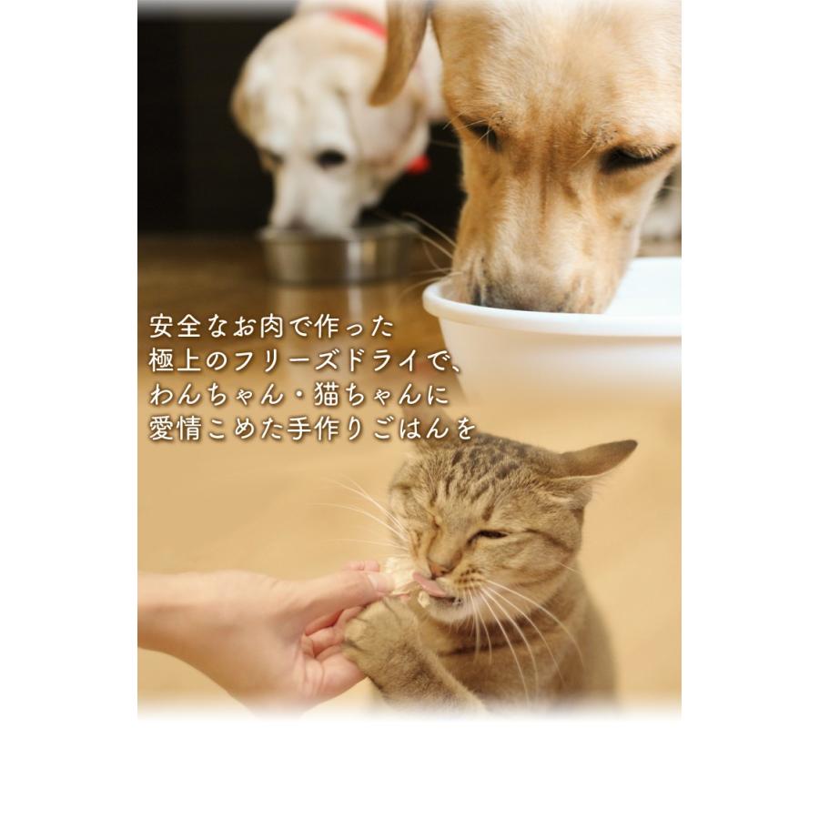 むね肉フリーズドライ ダイスカット 犬 45g Whitefox おやつ ドッグフード ペットフード 犬用 国産 ペット 鶏肉 にゃんこの生活 通販 Yahoo ショッピング