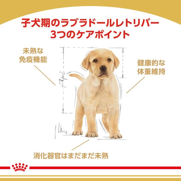ロイヤルカナン 犬 ラブラドールレトリバー 子犬用 3kg×4個セット ドッグフード フード 犬用 犬 正規品｜nyanko｜02