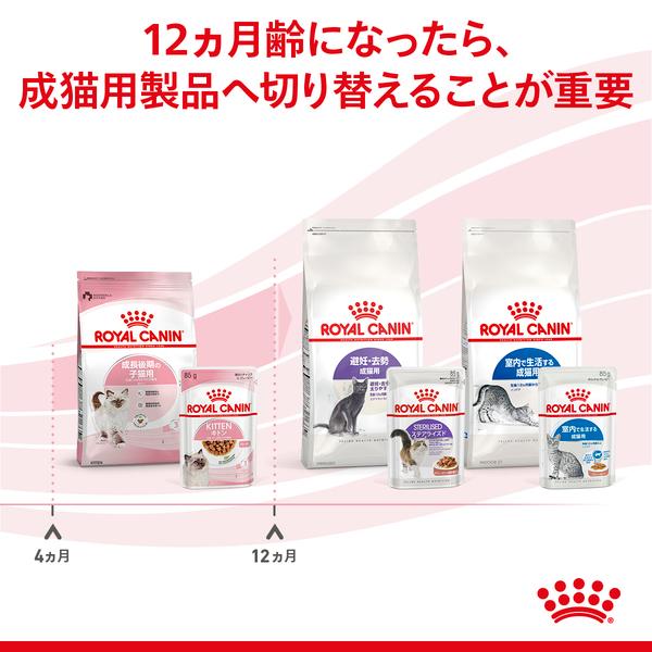 ロイヤルカナン 猫 キトン ウェット グレービー 85g 猫専用 ウェットフード 子猫用 12カ月齢まで 正規品｜nyanko｜05