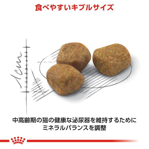 ロイヤルカナン 猫 インドア 7+ 400g (中・高齢猫用 7歳以上 室内で生活する猫用 FHN キャットフード) 正規品｜nyanko｜04