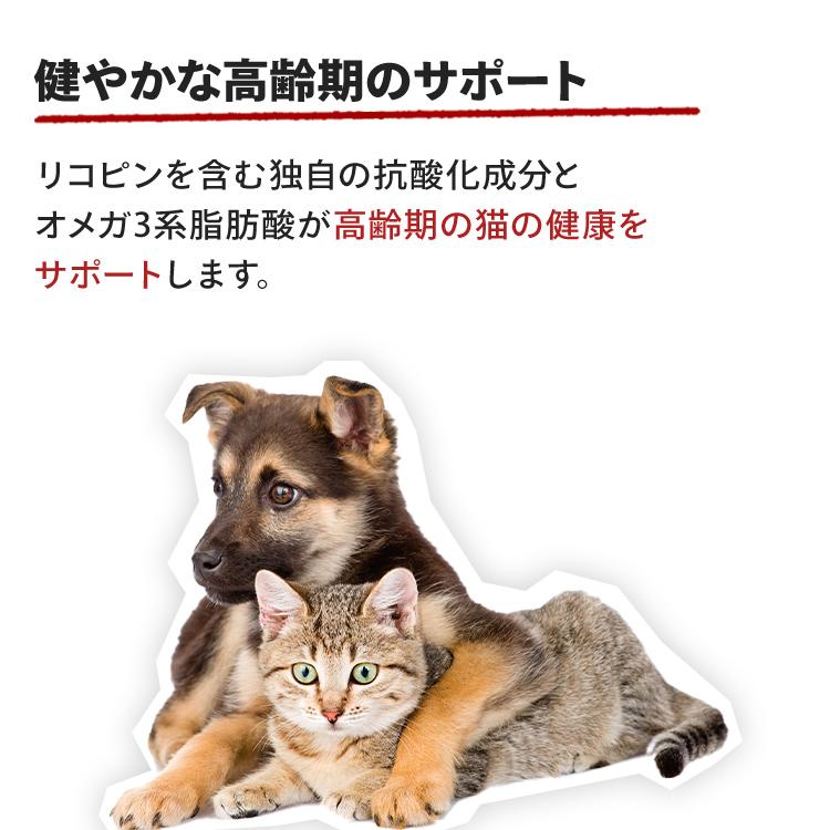 ロイヤルカナン 猫 エイジング ステアライズド 12+ 2kg (高齢猫用 FHN キャットフード) 正規品｜nyanko｜03