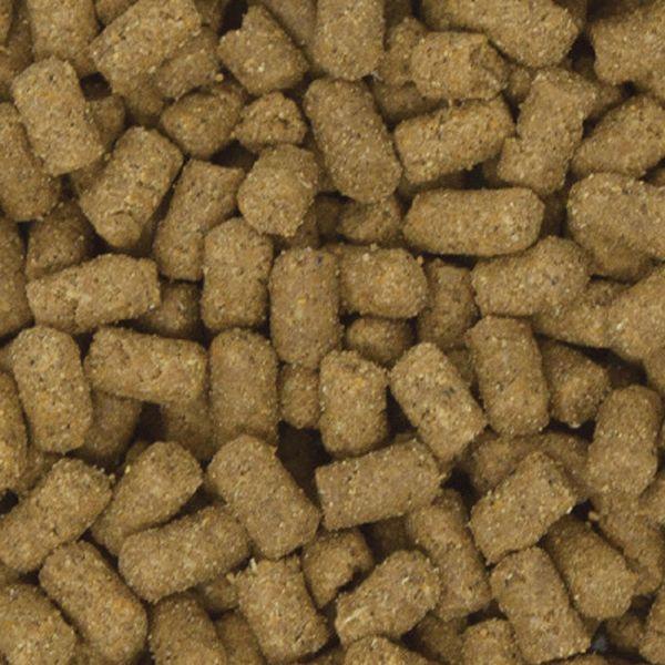 イースター フェレットフード フェレットセレクション パフォーマンス