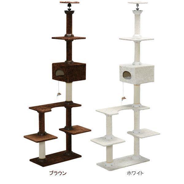 キャットタワー 突っ張り 突っ張り型 キャットランド CLD-240B ブラウン・ホワイト 猫用品 猫タワー 爪とぎ 多頭飼い アイリスオーヤマ 約