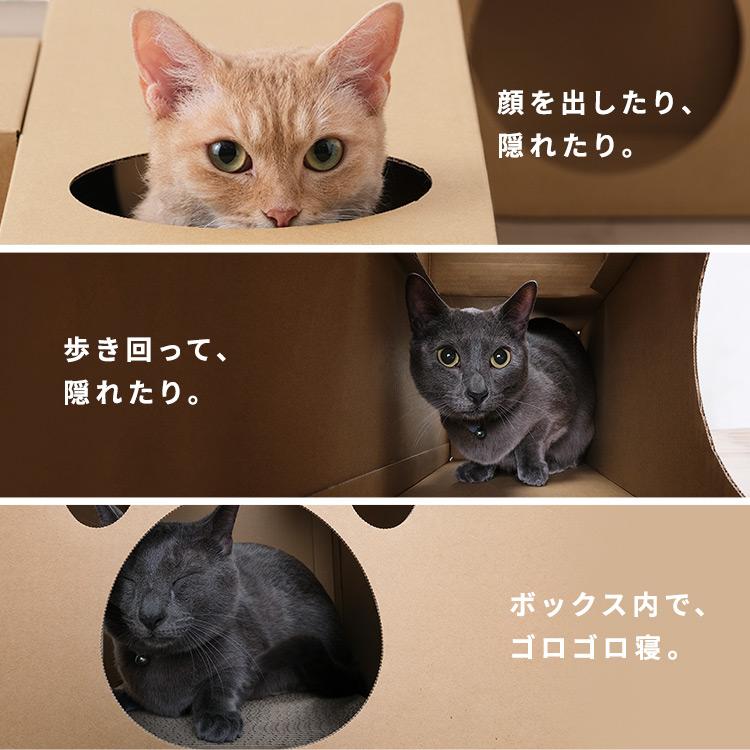 猫 おもちゃ トンネル 段ボール 単品 ねこねこトンネル P-NT アイリスオーヤマ｜nyanko｜06