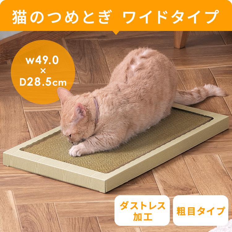 ★やまとのねこページです★ お姫様猫、次男坊猫の最期を見送る The princess cat 'Mona' and