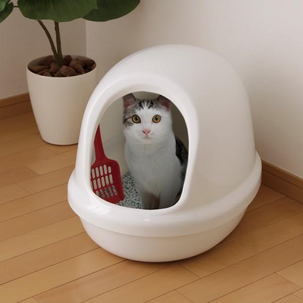 最も優遇 猫トイレ おしゃれ 目隠し ねこ 猫 トイレ フルカバー フード付き ネコのトイレ アイリスオーヤマ 全3色 P Ne 500 F カバー 収納トイレ用品 予約品 Discoversvg Com