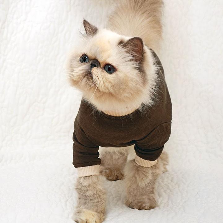 スーパーガードスーツ キャット M 犬と生活 D B 術後服 介護服 エリザベスカラー 傷舐め防止 手術 キャットウェア 保護服 猫用ウェア M にゃんこの生活 通販 Yahoo ショッピング