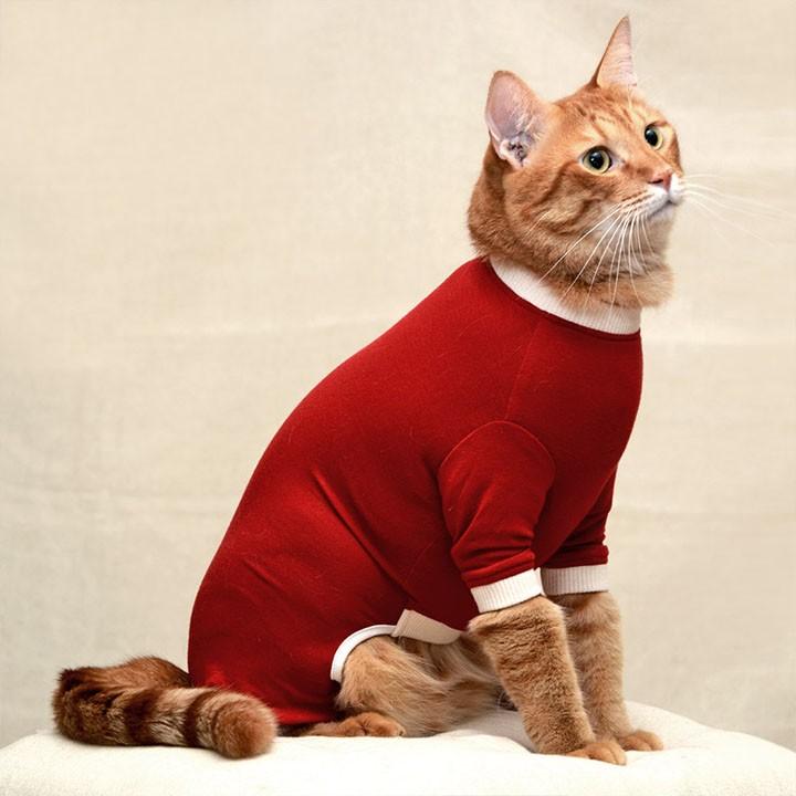 スーパーガードスーツ キャット M 犬と生活 D B 術後服 介護服 エリザベスカラー 傷舐め防止 手術 キャットウェア 保護服 猫用ウェア M にゃんこの生活 通販 Yahoo ショッピング