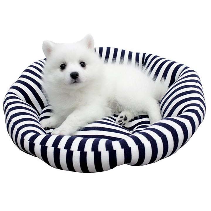 ペットベッド 夏用 犬 猫 ペットプロ ボーダー ラウンドベッド S 夏用 ペット用 犬用 クール カドラー 猫用 クッション 小型犬 M にゃんこの生活 通販 Yahoo ショッピング