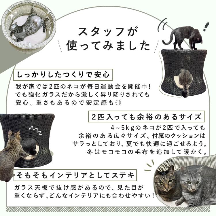 ペットハウス＆テーブル 丸型 (小) (大) (D) : キャットランド Yahoo