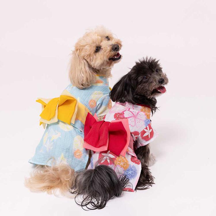 pipi 犬服 ペット用品 犬 ペット ミニチュアダックス 夏祭り 春服 夏服