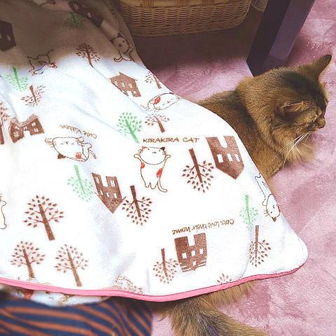 猫 ネコ ねこ キャット フリース ひざ掛け 手作り ( 猫柄 やわらか