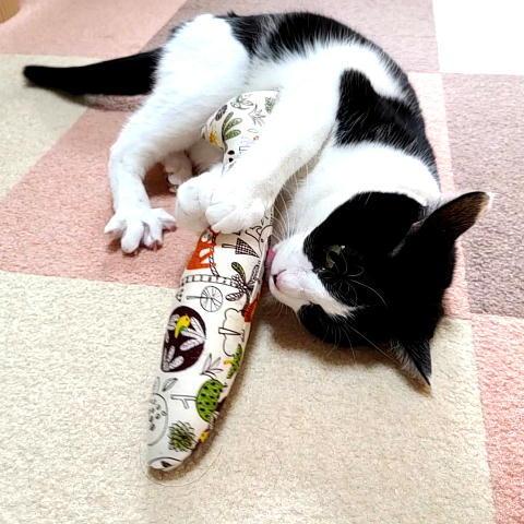 にゃんぱく宣言 猫 ネコ ねこ キッカー おもちゃ キャットニップ 魚