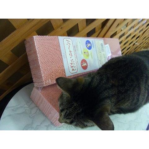 ゆめネコ 大阪万博 yumeの猫 (@yuziyuzi99) / Posts / X