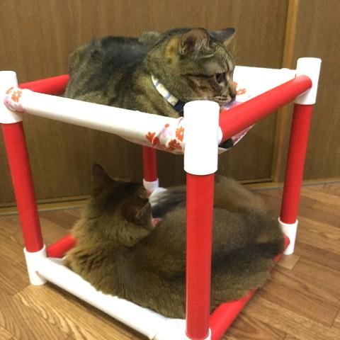 にゃんぱく宣言 キャットタワー ハンモック 猫 ネコ ねこ 軽量 ニャン