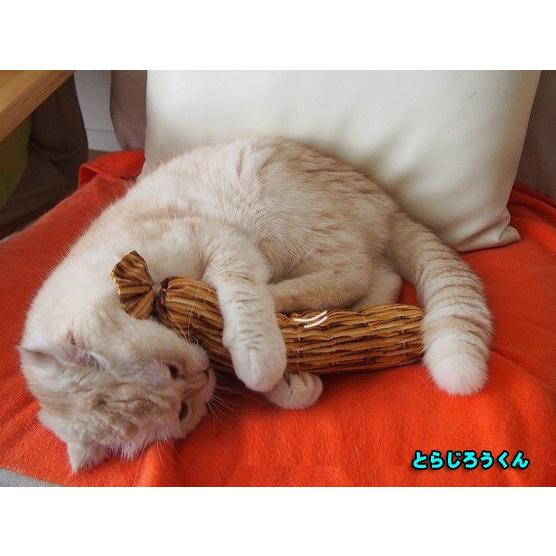 にゃんぱく宣言 猫 ネコ ねこ キッカー おもちゃ マタタビ またたび