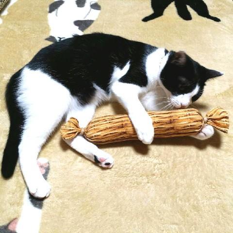にゃんぱく宣言 猫 ネコ ねこ キッカー おもちゃ マタタビ またたび