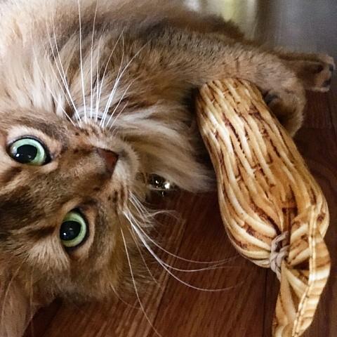 にゃんぱく宣言 猫 ネコ ねこ キッカー おもちゃ マタタビ またたび
