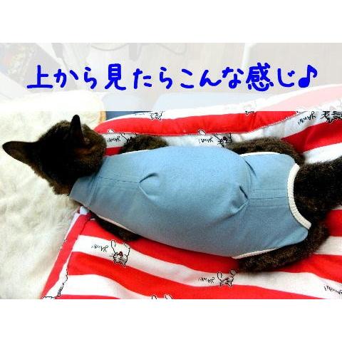 猫 キャット ネコ ねこ 術後 服 保護服 傷防止 エリザベスカラー 術後ウェア 術後着 なめ防止 脱毛 傷口保護 皮膚 避妊 伸縮 ナメにゃいでレオタード Y160 にゃんぱく宣言 通販 Yahoo ショッピング