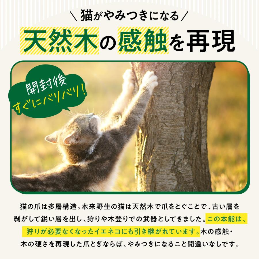 nyans（ニャンズ） 猫 爪とぎ 縦型M｜研ぎカスが出ない1年高耐久・純