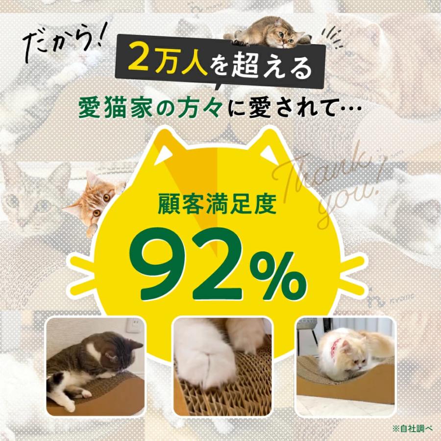 nyans 猫用爪とぎ 2個セット nyans（ニャンズ） 猫 爪とぎ 無限型L｜研ぎカスが出ない1年高耐久・純