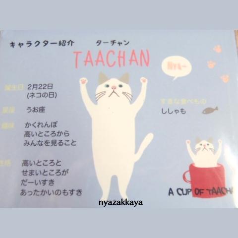 ターチャン 猫 腹巻き ポカポカターチャン ぬくぬくはらまき Lw 413 526 にゃざっかや 通販 Yahoo ショッピング