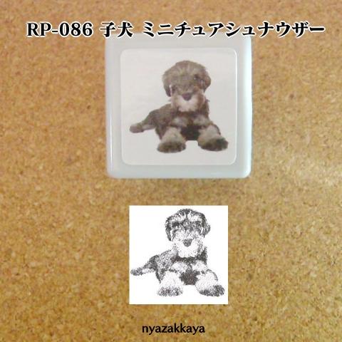 犬 スタンプ ハンコ 子犬 リアルふぉとスタンプ 浸透印 判子