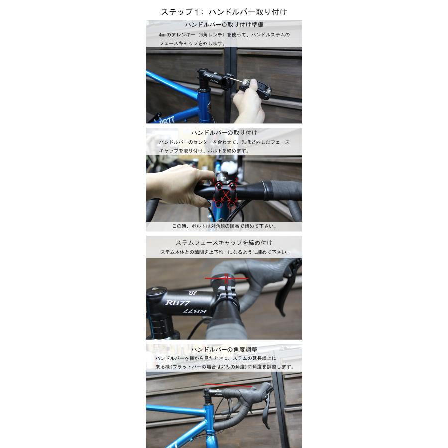 ROCKBIKES（ロックバイクス） ピスト バイク クロモリ ブラック