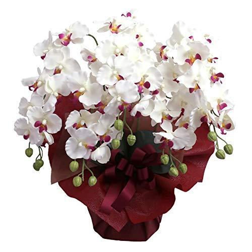 ポイント10倍 アーティフィシャルフラワー 造花 胡蝶蘭 5本立ち ホワイトビューティー Ct触媒加工 Cotyoran Rabe Wb 楽天カード分割 Www Jolimmo Ch