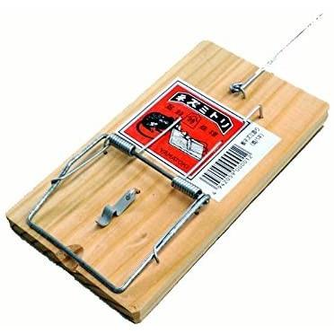 ラウンドアップ スキャルプケア シャンプー しっとり 800ml Bwf7caarts トリートメント ヘアパック Www Lordsofcoco Com