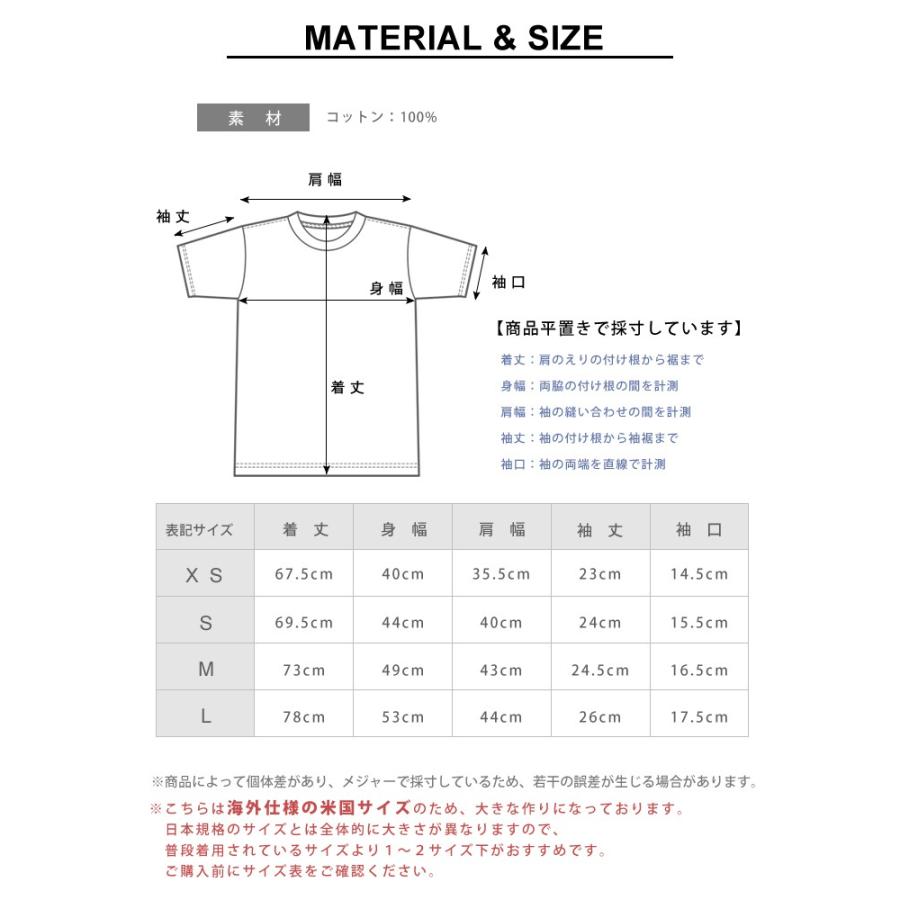 チャンピオン tシャツ メンズ 厚手 半袖 ヘリテージ GT19 Champion ロゴT 大きいサイズ クルーネック｜o-kini｜05