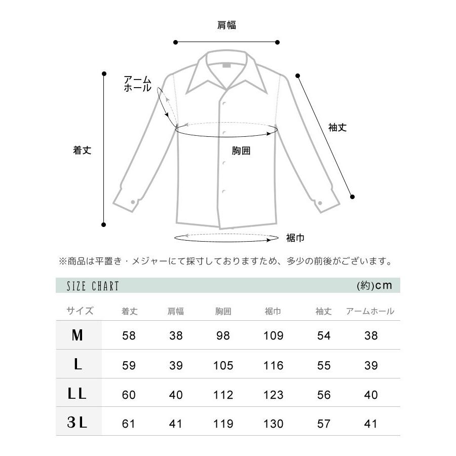 dgy ブラウス D*g*y ディージーワイ ナチュラル服 30代 40代 50代 シャツ レディース 春 夏 大きいサイズ ゆったり 長袖 ちび衿  ブランド｜o-kini｜19