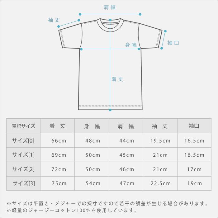 JAMES PERSE（ジェームスパース） tシャツ メンズ クルーネック 半袖