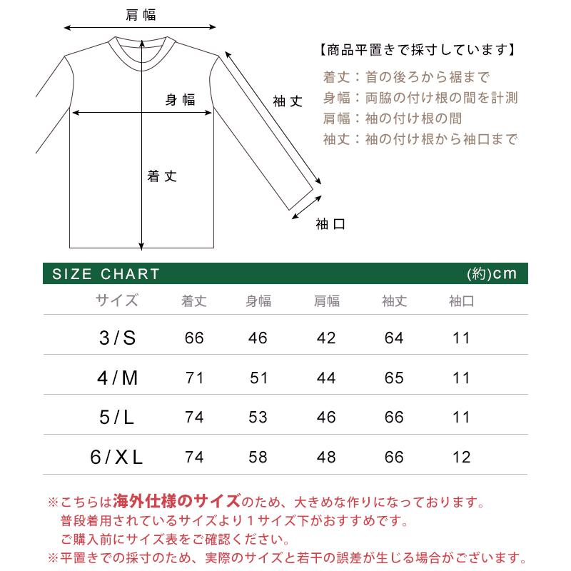 LACOSTE（ラコステ） メンズ 長袖 コットン Tシャツ クルーネック V